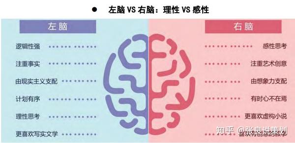 深度解析：49图论坛博君一肖《太想爱你232》背后的用户心理与内容创作