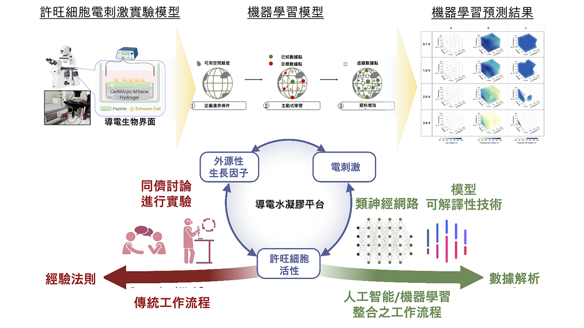 深度解析49图论坛102期一肖：精准预测技巧与实战案例分析