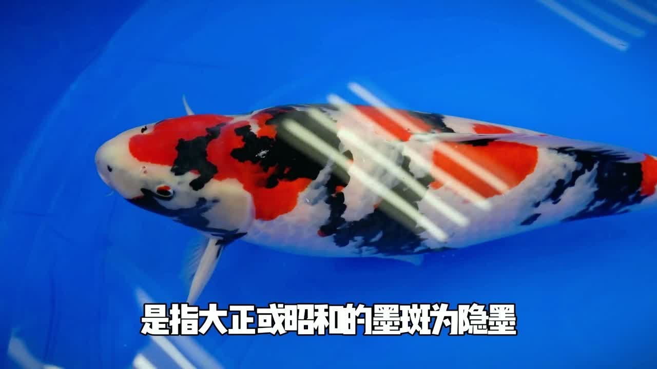 好运