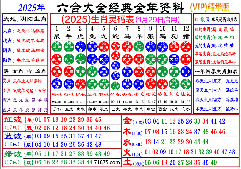 新澳一肖：欲钱买好玩的动物，生肖趣味解析与选择攻略