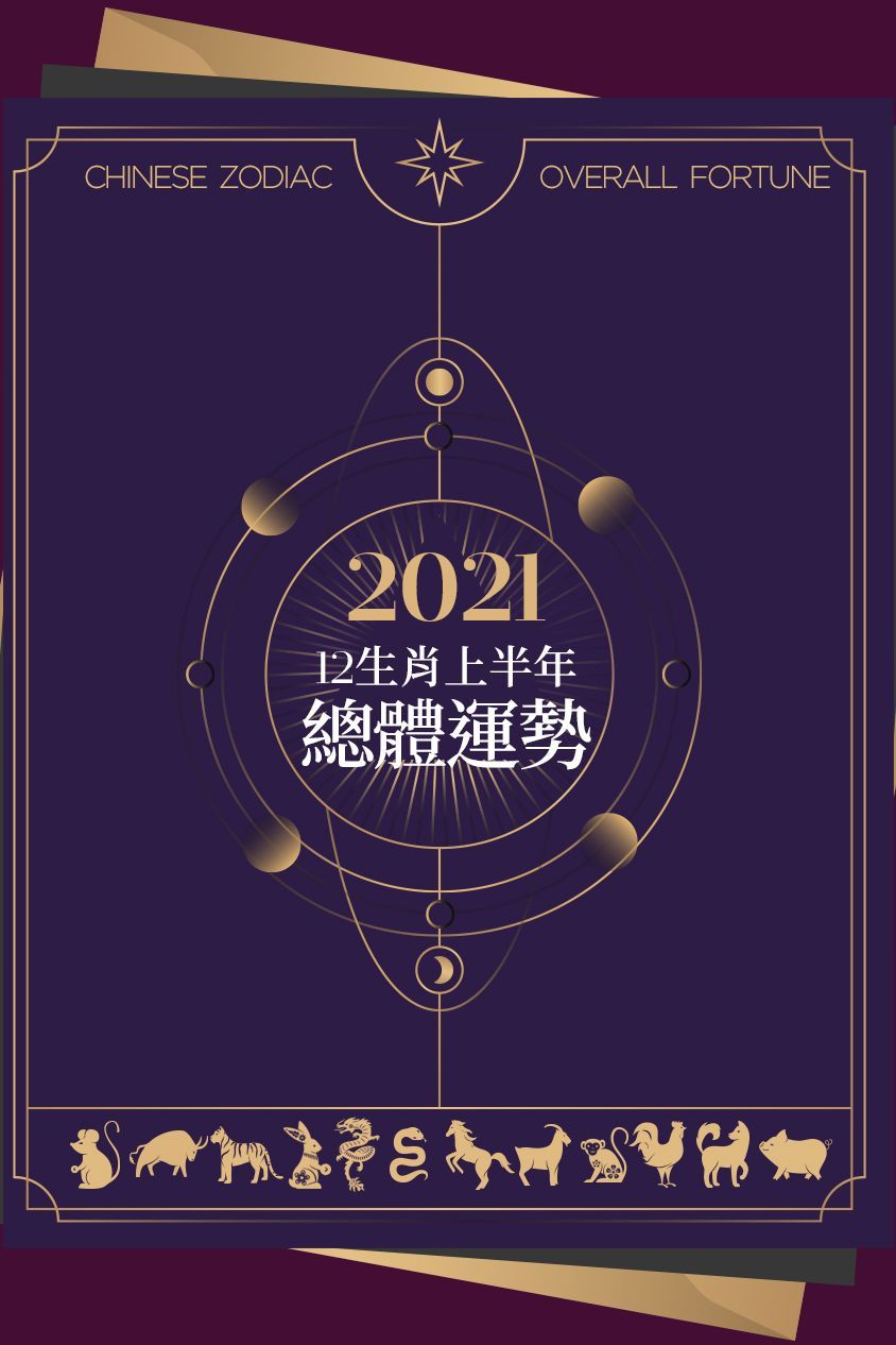 深度解析：49图论坛蛇一肖2021背后的玄机与机遇