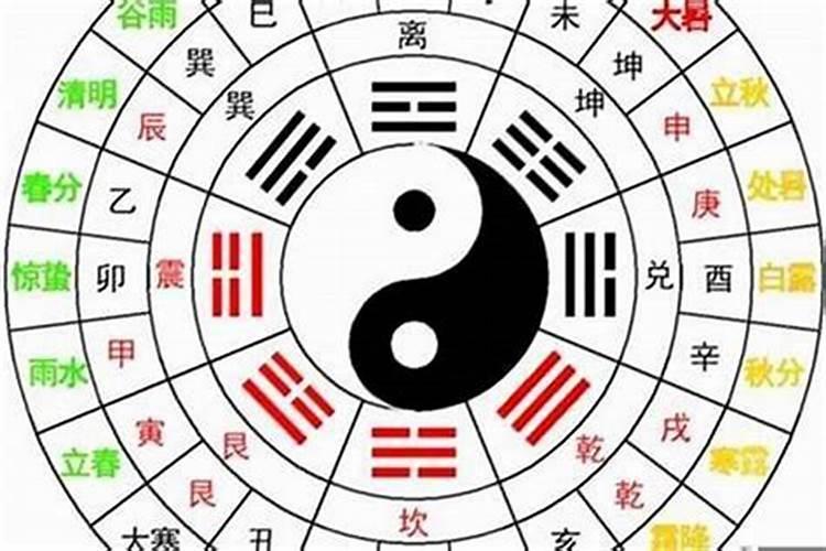 深度解析：49图论坛一四九八打一肖背后的玄机与技巧，助你玩转数字游戏