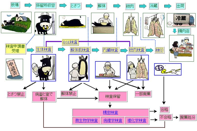 深度解析：49图论坛博君一肖驯养23背后的圈层文化与内容生态